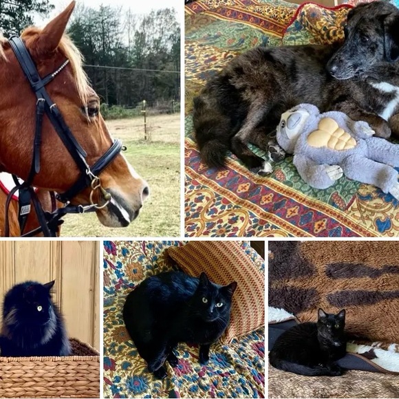 FOLLOW THE JONESES TO 400K! - Picture 4 of 16